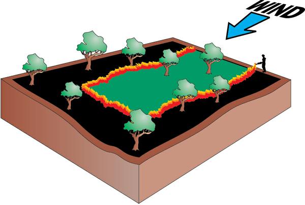 Fire set in a ring with one open side